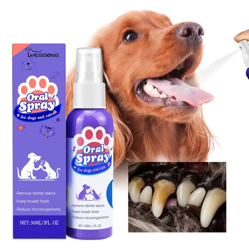floravyne® Pet Dental Care Spray – Fresh Breath & Easy Oral Care for Dogs & Cats 🐶🐱  -$AC