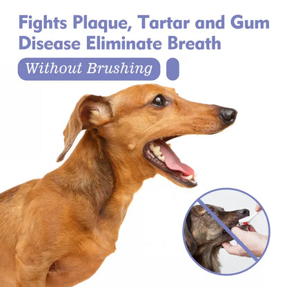 floravyne® Pet Dental Care Spray – Fresh Breath & Easy Oral Care for Dogs & Cats 🐶🐱  -$AC