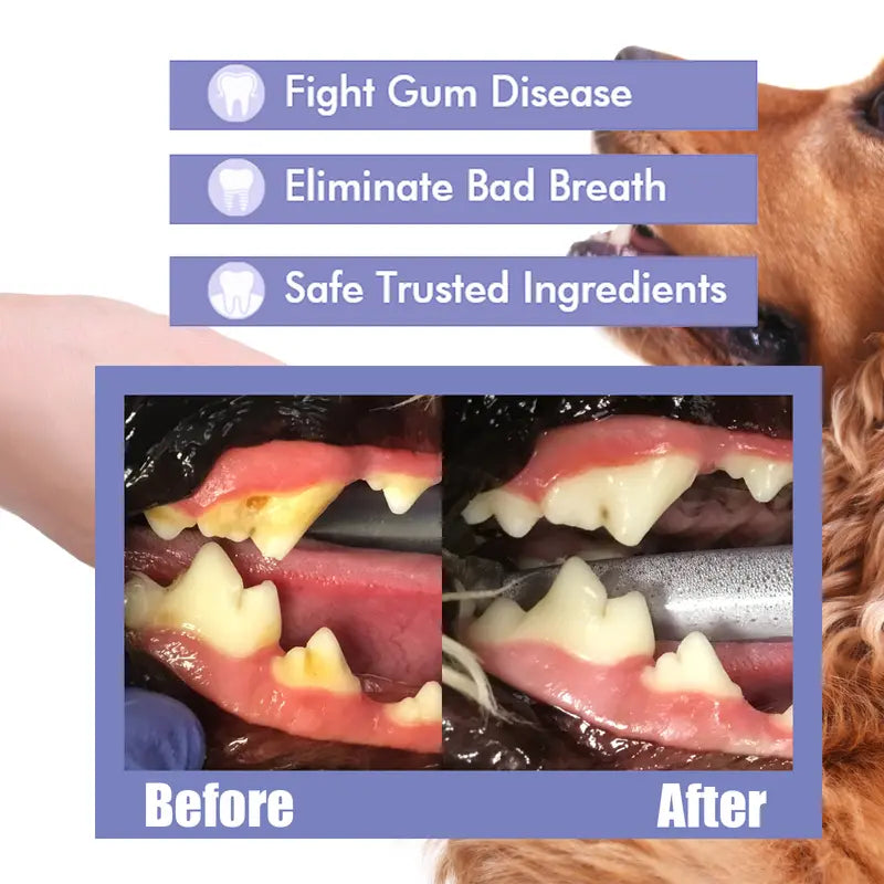 floravyne® Pet Dental Care Spray – Fresh Breath & Easy Oral Care for Dogs & Cats 🐶🐱  -$AC