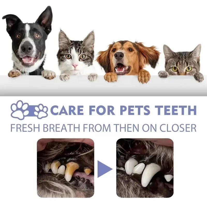 floravyne® Pet Oral Spray ✅ Freshen Breath, Remove Tartar & Promote gum regeneration, stabilize teeth 🦷-WH