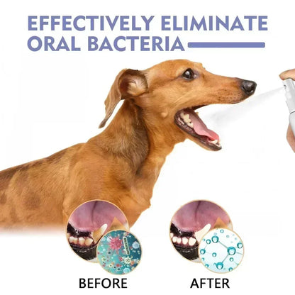 floravyne® Pet Oral Spray ✅ Freshen Breath, Remove Tartar & Promote gum regeneration, stabilize teeth 🦷-WH
