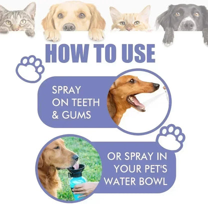 floravyne® Pet Oral Spray ✅ Freshen Breath, Remove Tartar & Promote gum regeneration, stabilize teeth 🦷-WH