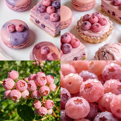 🔥50K+ SOLD!💟Premium Pink Blueberry Seeds -😋A Uniquely Delightful Taste-CU