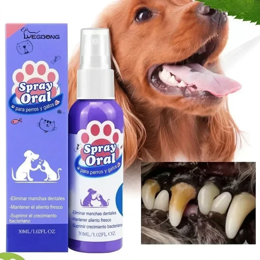 floravyne® Pet Oral Spray ✅ Freshen Breath, Remove Tartar & Promote gum regeneration, stabilize teeth 🦷-YH