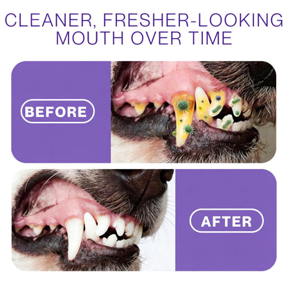 floravyne® Pet Oral Spray ✅ Freshen Breath, Remove Tartar & Promote gum regeneration, stabilize teeth 🦷-YH