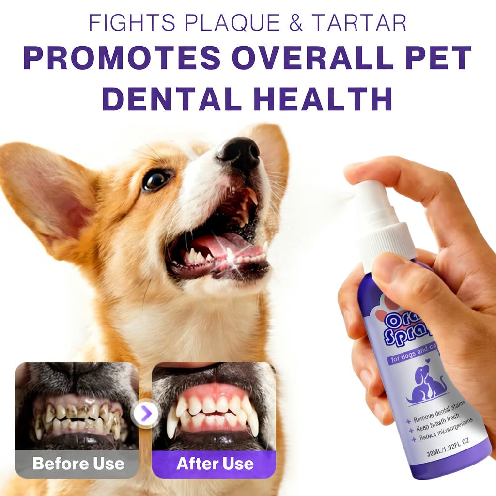 floravyne® Pet Oral Spray ✅ Freshen Breath, Remove Tartar & Promote gum regeneration, stabilize teeth 🦷-YH